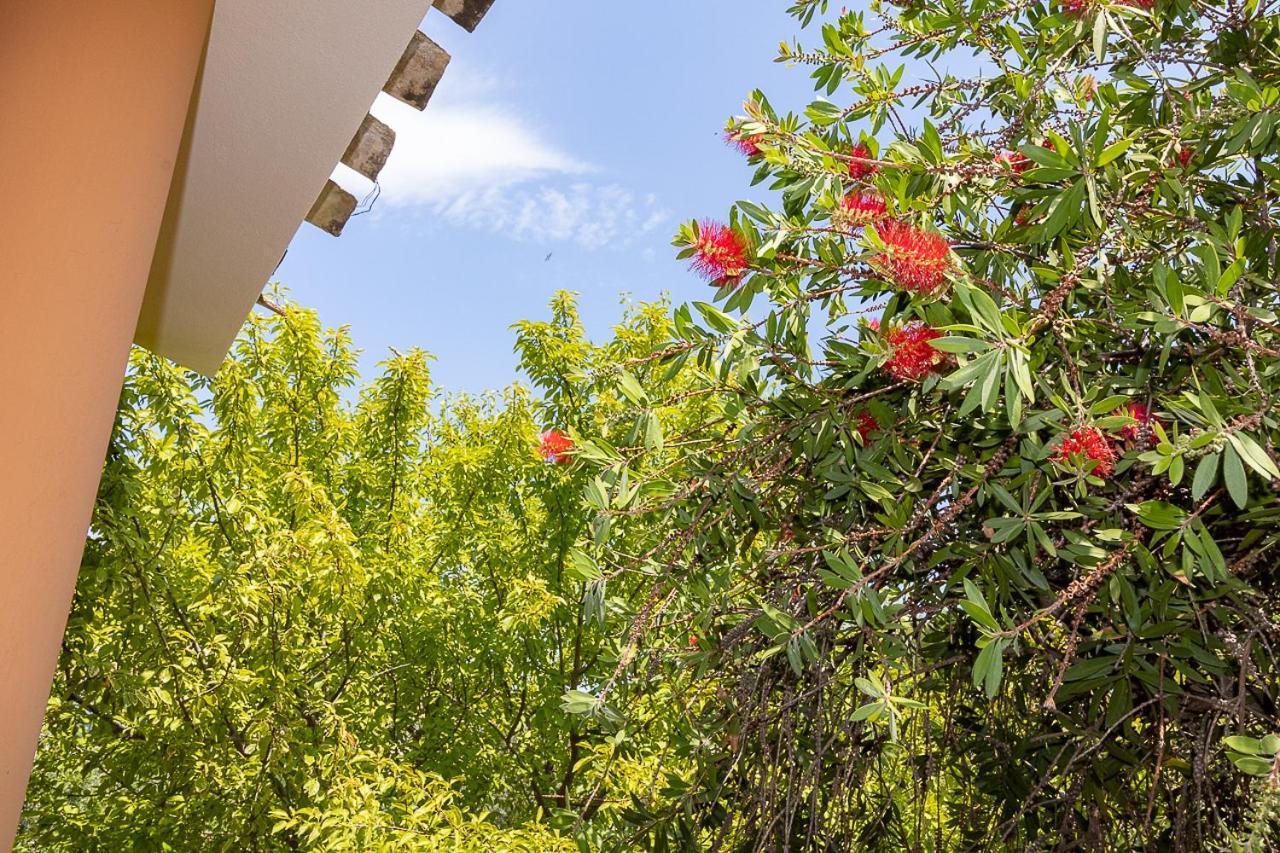Villa Caterina La Maddalena  Extérieur photo
